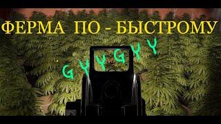 RUST Ферма по-быстрому. Генетика с RustBreeder - теперь просто.