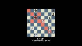 이게 체크메이트가 된다고?