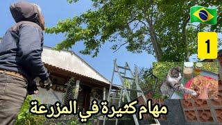 حياتنا في المزرعة و روتيني اليومي (( تجربة جديدة )) 1#