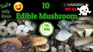 Edible mushrooms  || Edible mushrooms in india | #mushroom #ediblemushrooms #mushroomidentification