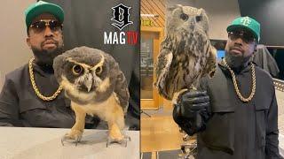 Outkast's Big Boi Brings Pet Owl's To The Studio! 