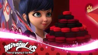 MIRACULOUS |  ANIMAESTRO  | SEASON 3 | Tales of Ladybug and Cat Noir