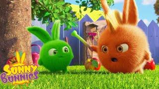 Hopper's in Trouble - Sunny Bunnies | Cartoons For Kids