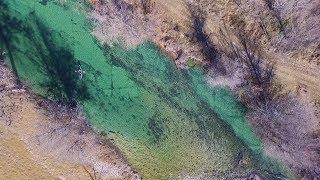 Medina River Kayaking