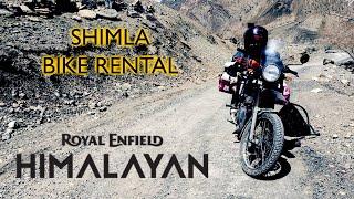 BIKE RENTAL in Shimla - Royal Enfield Himalayan [Himachal Pradesh Vlogs - 2021]