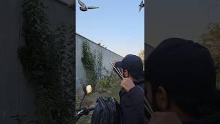 Mayan slingshot hunting #ytshorts #hunting #shorts