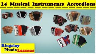 Accordion  14 Different Types Of Accordion | Musical Instruments