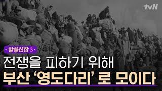 [#알쓸신잡3] 부산 ′영도다리′가 피난민들의 만남의 장소가 된 이유