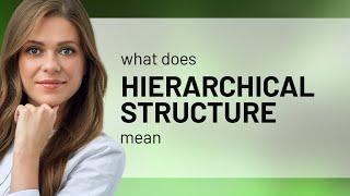 Hierarchical structure • what is HIERARCHICAL STRUCTURE meaning