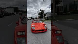 F40 ️‍ - #ferrarif40 #f40 #essereferrari #savethemanuals #ferrariclub #ferrarilove #ferrariquebec