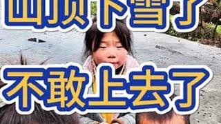 高山上开始下雪了我的乡村生活 农村生活 卖货郎小高vlog 卖货实拍