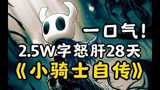 【完整版】《空洞骑士》剧情解说！主线+DLC+双结局一口气讲完！