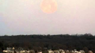 Coyotes howling in N. Tiverton, RI