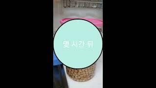 병아리콩의 맛있는 변신