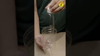 How to DIY Toilet Paper Roll Holder Using a Plastic Bottle