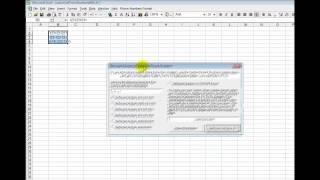 How to Excel Customize Format and change numbers into phone numbers format with dashes etc Software