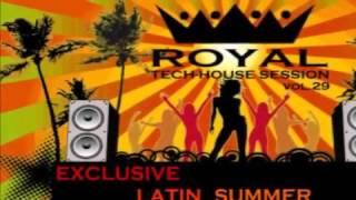 Royal Tech House Session Vol.29 /Exclusive Latin Summer Compilation/ Mixed by Demmyboy