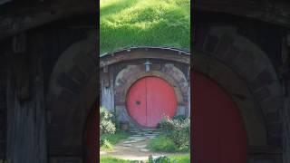 Are you a LOTR fan? Visit Hobbiton! You won’t regret it! #shorts #hobbiton #travel #newzealand
