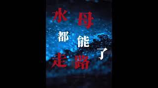 这个赛道也硬闯一下#恋与深空 #祁煜 #恋与深空祁煜 #恋与深空共启新程