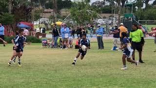 Encinitas 7s Back Bay vs Belmont Sharks take over, Miah scores