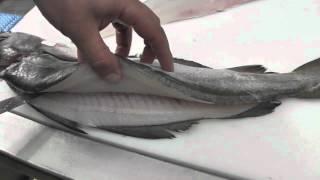 Passionate About Fish - How to Fillet Pollack