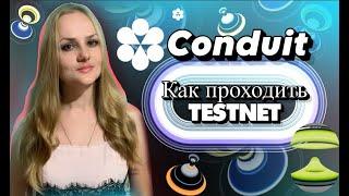 Conduit Testnet Airdrop, Как проходить TestNet Conduit и зарабатывать на этом