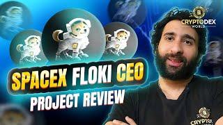 Space X Floki CEO Review 2023:  Community-Driven Meme Project - Ticket to the Moon!