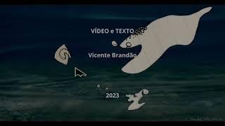 Era uma vez um peixe-porco...