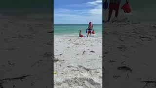 30A Florida 2024 Highlight Reel - Rosemary - Seaside - Alys #30aflorida