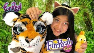 FurReal Friends - 'Roarin' Tyler, the Playful Tiger' is Ready to Play! Hasbro