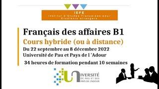 Cours de Français des affaires B1 Université de Pau et des Pays de l'Adour, IEFE