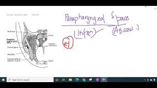 parapharyngeal space and abscess || ENT