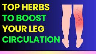 Top 9 Herbs to Improve Circulation: Health Miracles