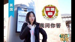 【问答】随机采访哈佛学生：平均学习10小时像在上班