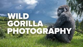 How to Photograph Wild Gorillas with Nature Photographer Richard De Gouveia