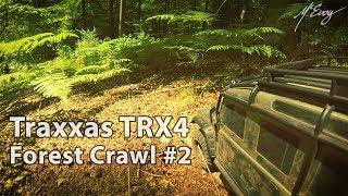 Traxxas TRX-4: Forest Crawl 2