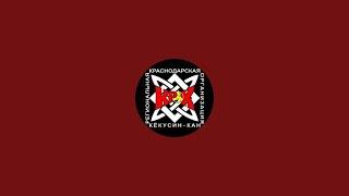Каратэ киокусинкай в Краснодаре. КРОК в прямом эфире!