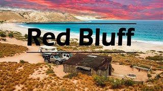 BEACH SHACK CAMPING - Red Bluff Ep.68 - Road Trip Australia