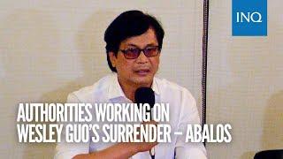 Authorities working on Wesley Guo’s surrender – Abalos