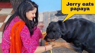 Today Anshu's painting competition||sapna is having fun with Jerry