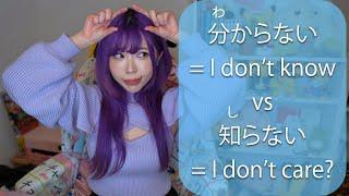 You Don't Understand Japanese unless you Know わかる vs しっている