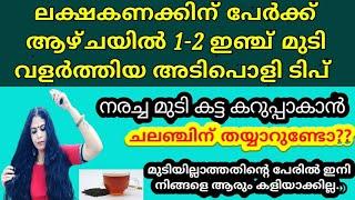 എത്ര നരച്ച മുടിയും കറുപ്പാകും ഒപ്പം ഇരട്ടി മുടിയും..സ്ഥിരമായി ഉപയോഗിക്കൂ. Priya's dream world