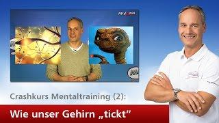 Crashkurs Mentaltraining (2): Wie unser Gehirn "tickt"