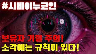 시바이누코인! 규칙이 있었습니다!