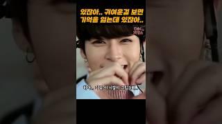 귀여운 걸 보면 어.. 지금 내가 뭐라그랬지?