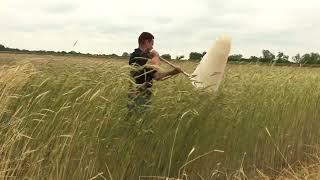Multidisciplinary Graduate Student Project on Cover Crop Management in North Carolina Soybeans