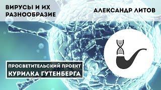 Вирусы и их разнообразие – Александр Литов