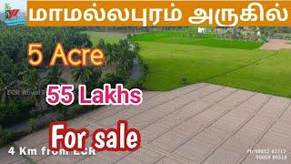 ID 1006:5 Acre Farmland For sale Chennai ECR!Thirukkalikundram 3 Face55 lksThaar Road 4 KmMr.Ashi