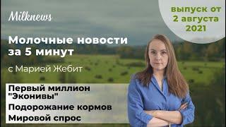 Молочные новости за 5 минут: первый миллион "Эконивы", подорожание кормов и мировой спрос
