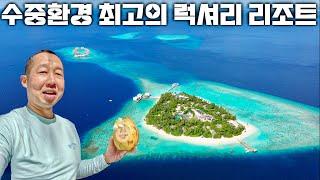 몰디브 럭셔리 리조트 중에 수중환경 제일 좋은 애, 래플스 비치풀빌라 2024 브이로그